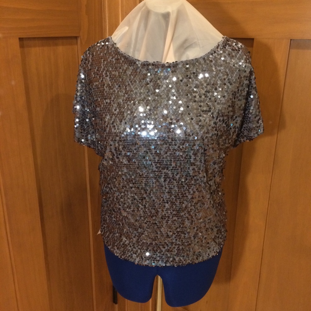 Wide Scoop Neck Sequined Front Silver /Gray T NWOT